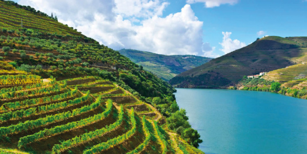Douro, vines and the river